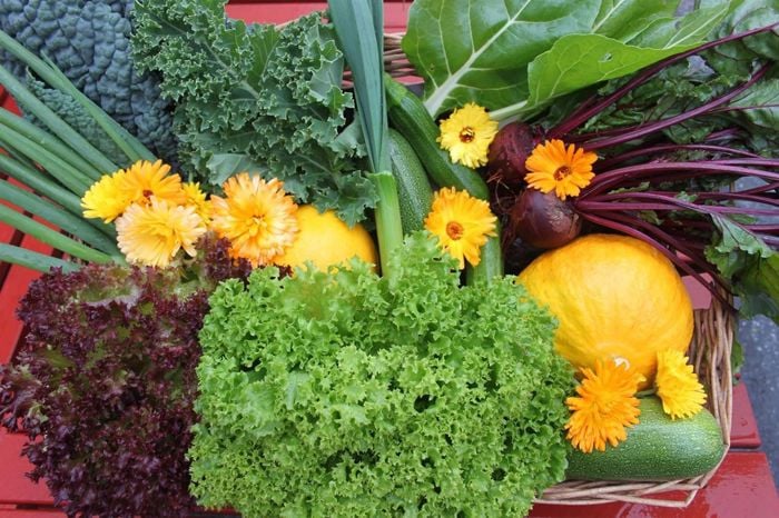 Bilde av friske grønnsaker.