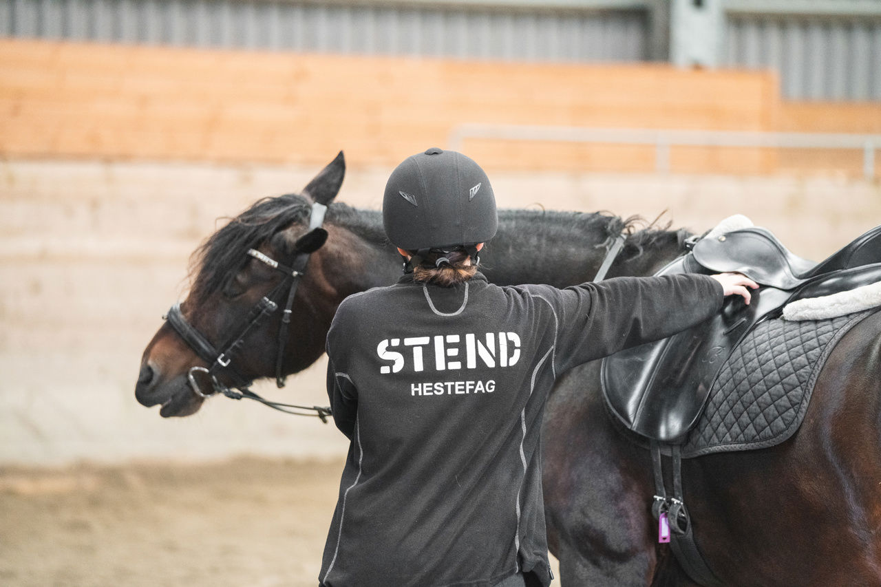 Bildet viser en jente bakfra som holder armen på en hest