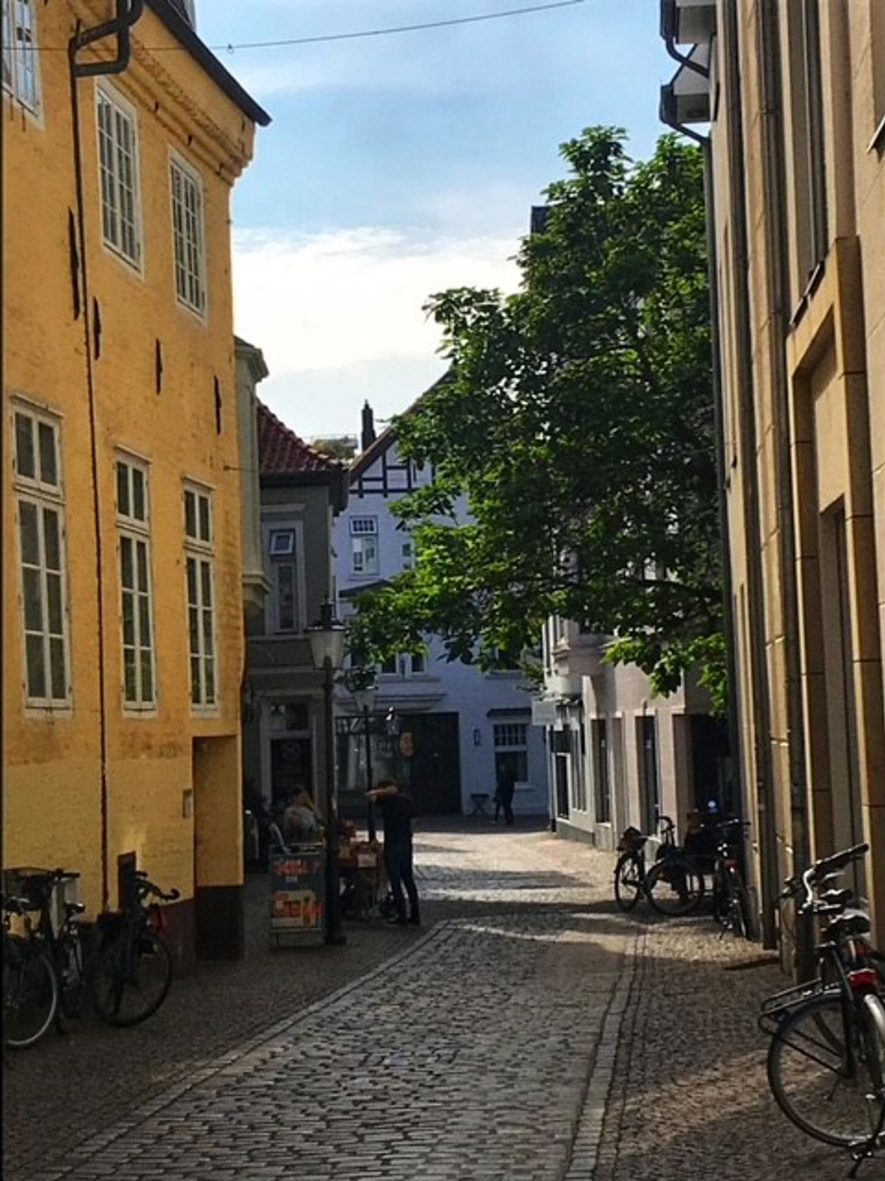 Oldenburg en gate.jpg