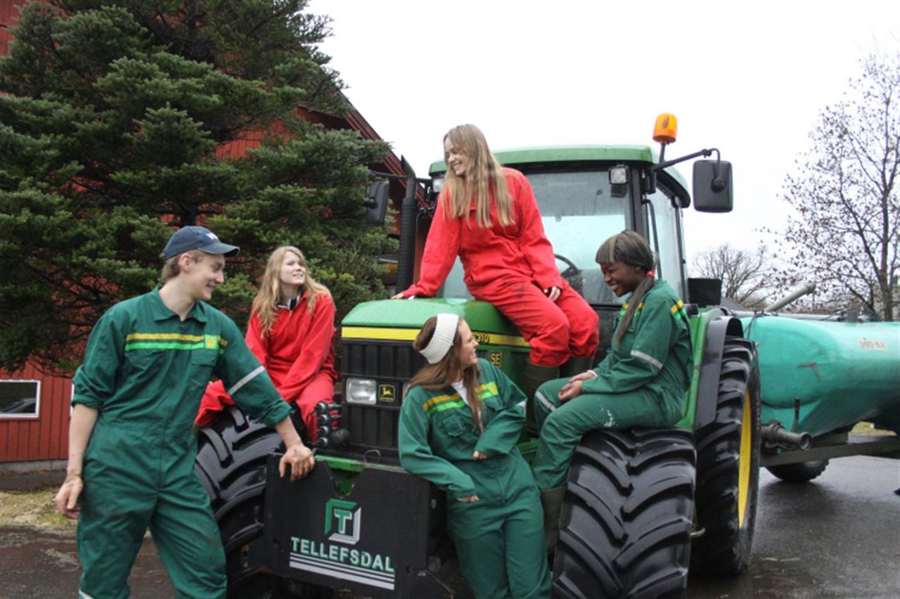 Bildet viser noen elever omkring en traktor.
